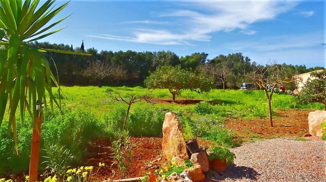Holiday home 420 Finca Son Antem Etv6717 By Mallorca Charme Llucmajor